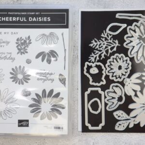 Cheerful Daisies Bundle