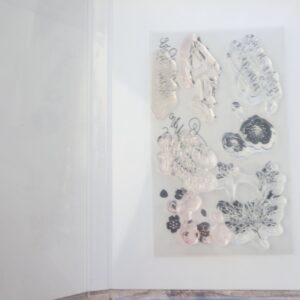 Photopolymer stamps from the Softly Sophisticated set stored in their original case