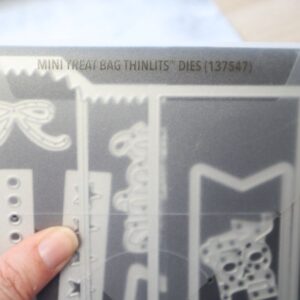 Mini Treat Bag Thinlits Dies in original Stampin’ Up! storage sleeve
