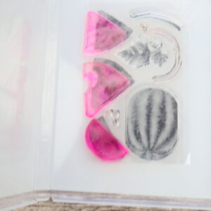 Inside view of Watercolor Melon stamp set showing photopolymer stamps