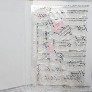 Inside view of Stampin’ Up! Unbounded Love photopolymer stamp set with stamps on carrier sheet