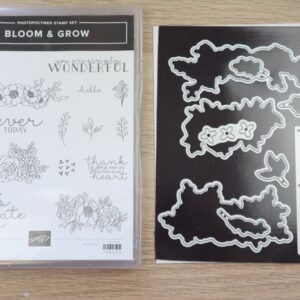 Bloom & Grow stamp set beside Budding Blooms dies.