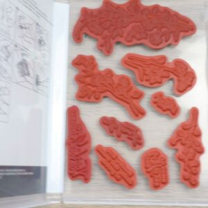 Red rubber cling stamps from the Dainty Delight set arranged inside the open stamp case.