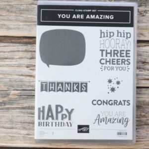 You Are Amazing Stamp Set case showing stamp designs and label.