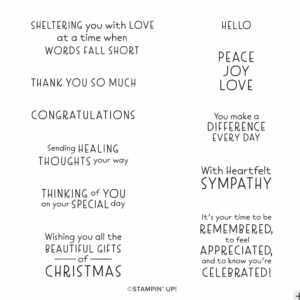 Close-up of Inspired Thoughts stamp set with printed insert inside the case