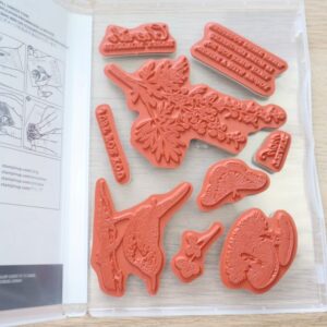 Etched in Nature cling stamps used Stampin Up nature botanical images